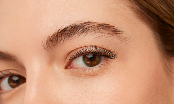 Spectral Lash 2.4ml