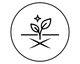 Cicatrices y regeneración
